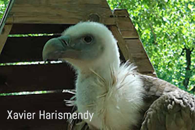 Parc animalier de Gramat